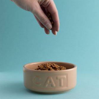 MASON CASH Dubenėlis vandeniui arba kačių maistui, 13 cm.