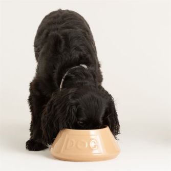 MASON CASH Šuns dubenėlis vandeniui arba maistui, 21 cm. 